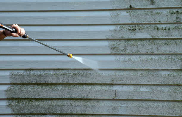 Reliable Benavides, TX Pressure Washing Services Solutions